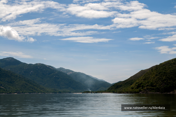 photo 1585704