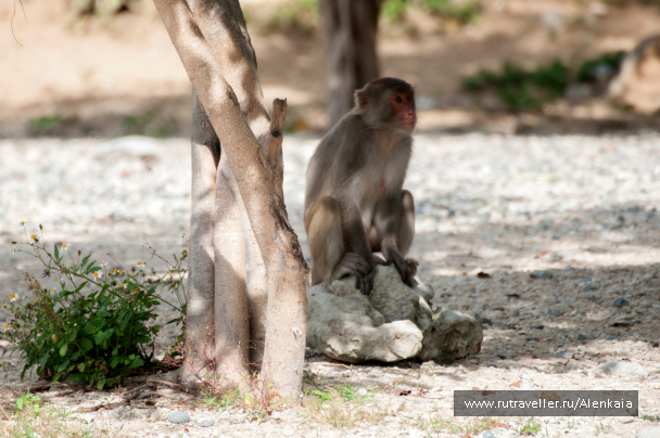 photo 1589539