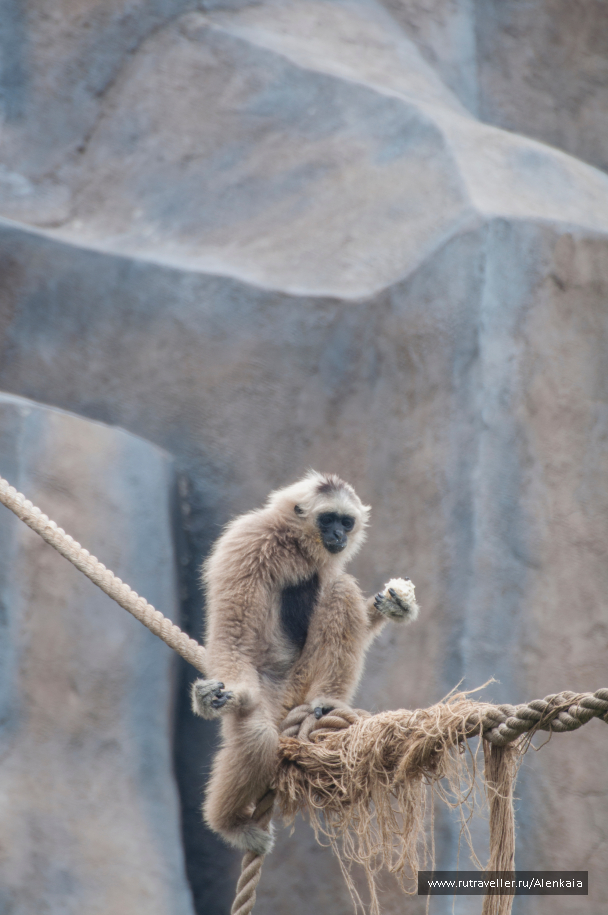 photo 1593619