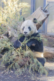 photo 1728771