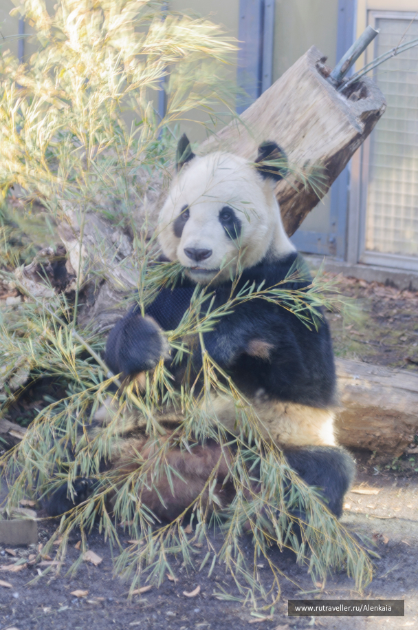 photo 1728771