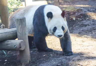 photo 1728772
