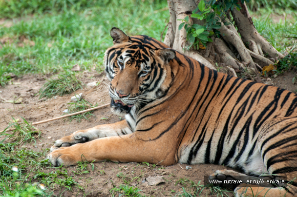 photo 1728752