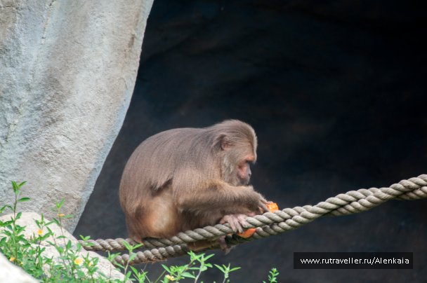 photo 1728753