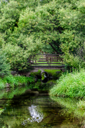 photo 1673141