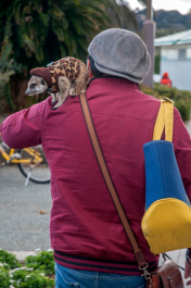 photo 1728734