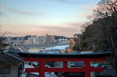 photo 1729564
