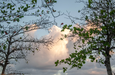 photo 2048025