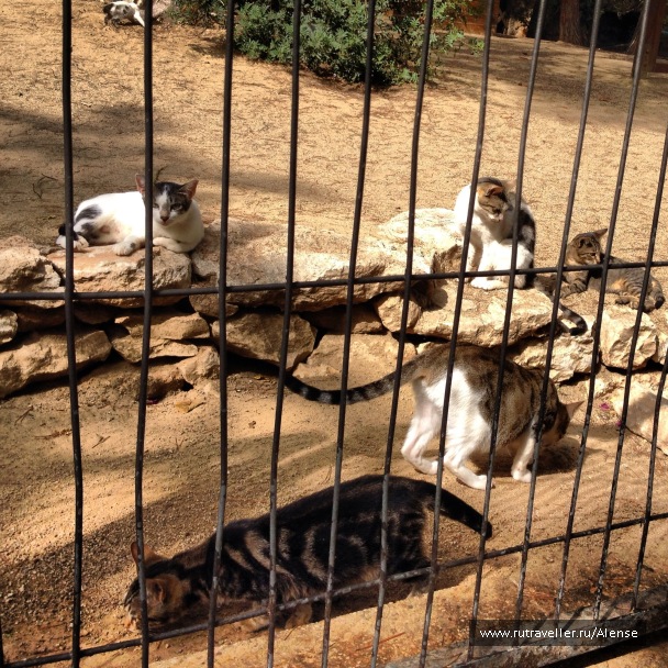 photo 565030