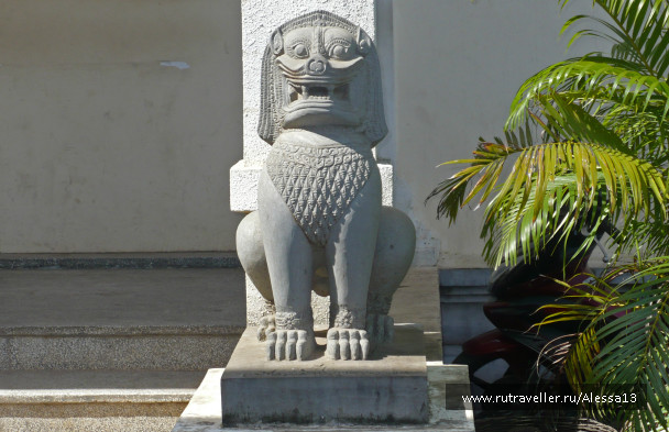 photo 999509