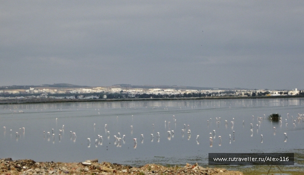 photo 675702