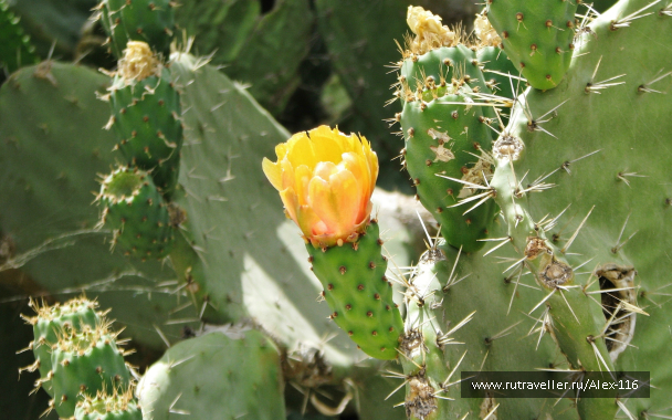 photo 702782