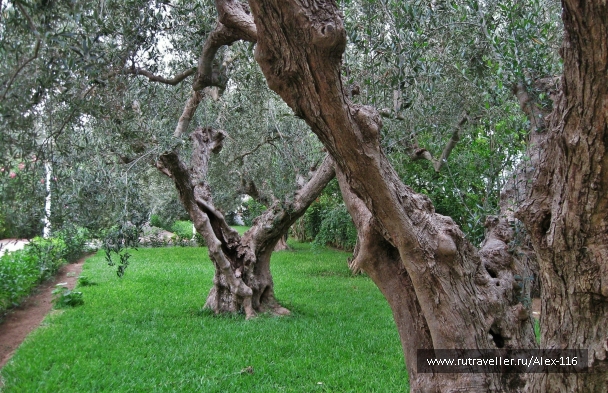 photo 761554