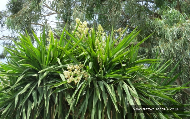 photo 845227