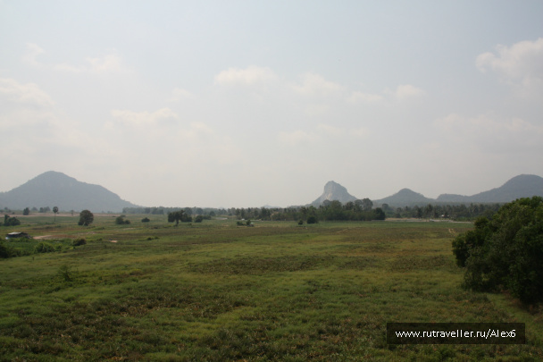 photo 251614