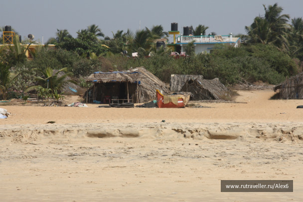 photo 237219