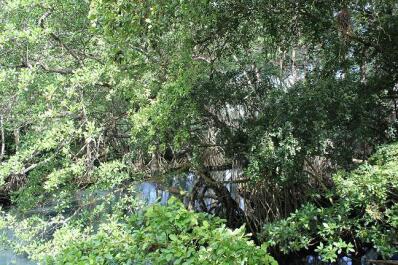 photo 552713