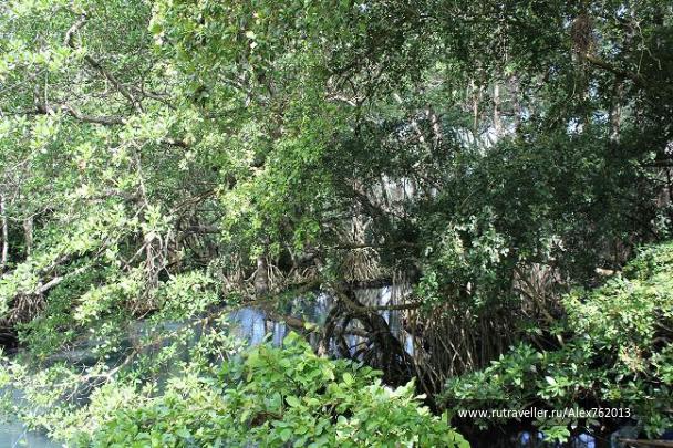 photo 552713