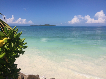 photo 1617244