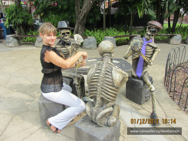photo 216709