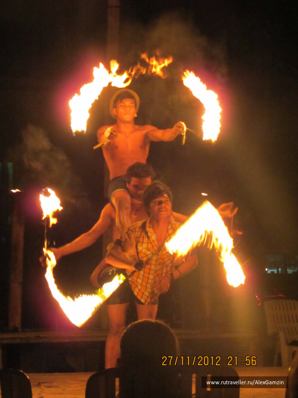 photo 216728