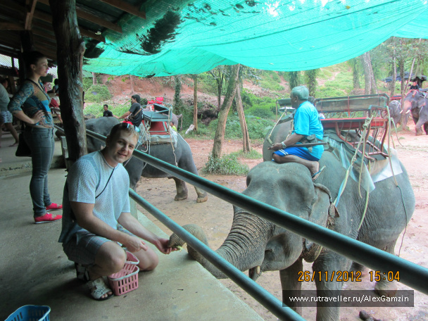 photo 216744