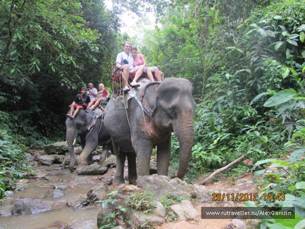 photo 216745