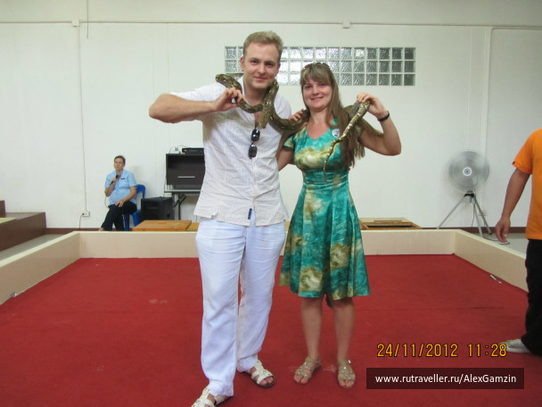 photo 216759