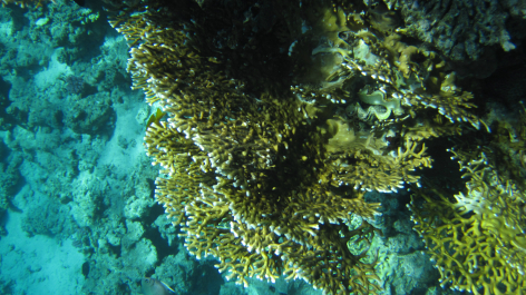 photo 637629
