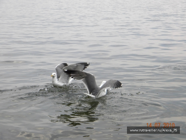 photo 927284