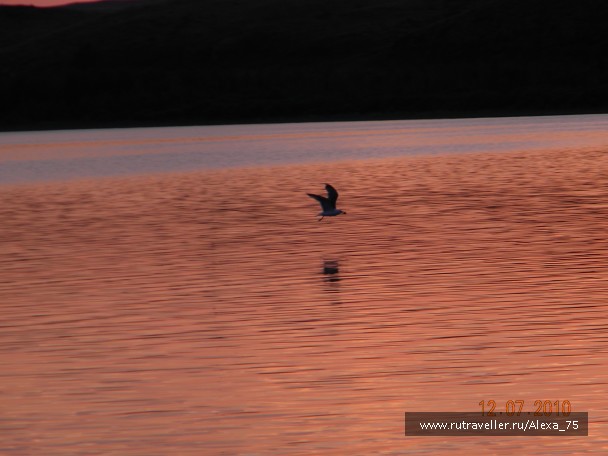 photo 927285