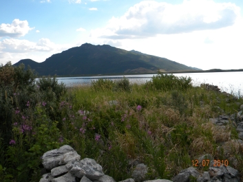 photo 927290
