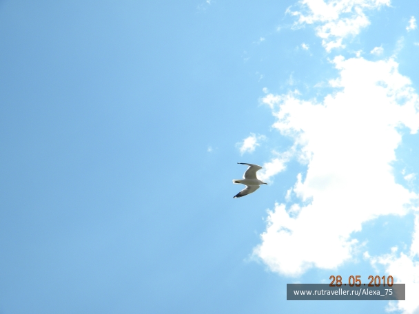 photo 927294