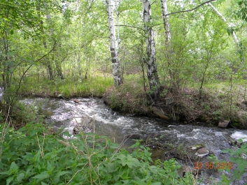 photo 927295