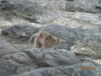 photo 928320