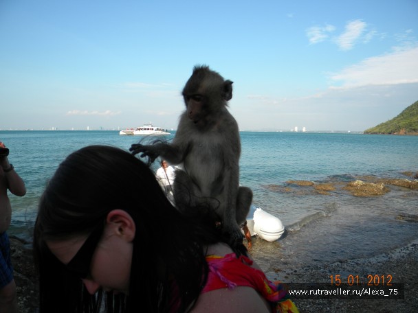 photo 928324