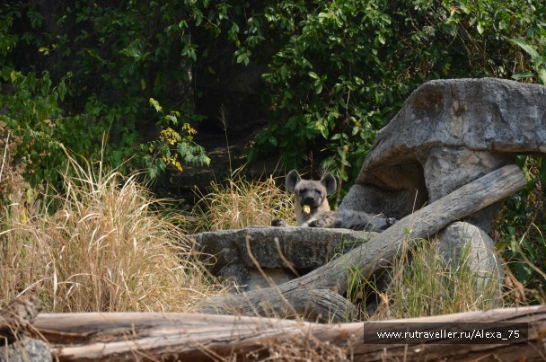 photo 933564
