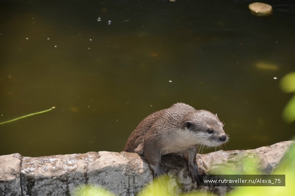photo 933566