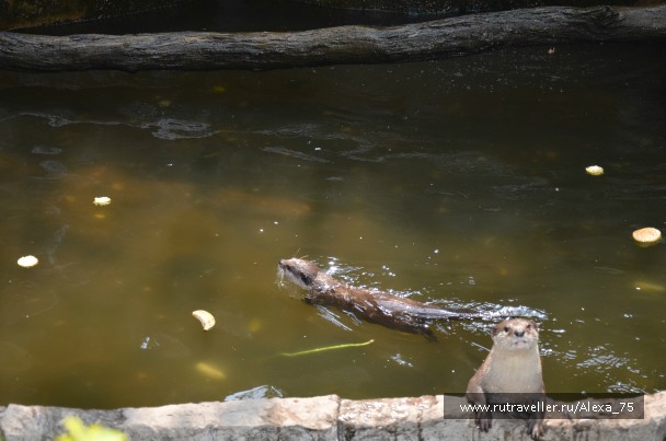 photo 933567