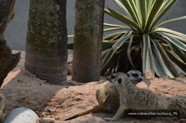 photo 933572