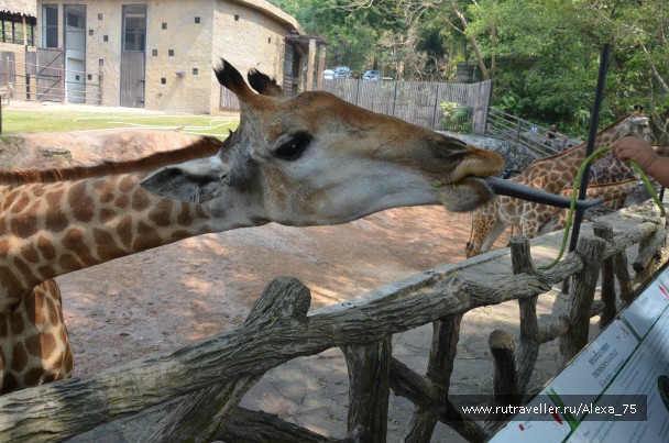 photo 933575