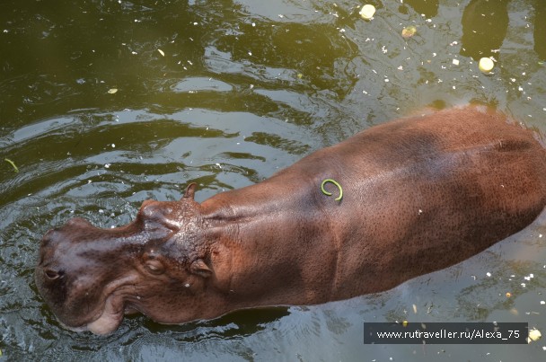 photo 933576