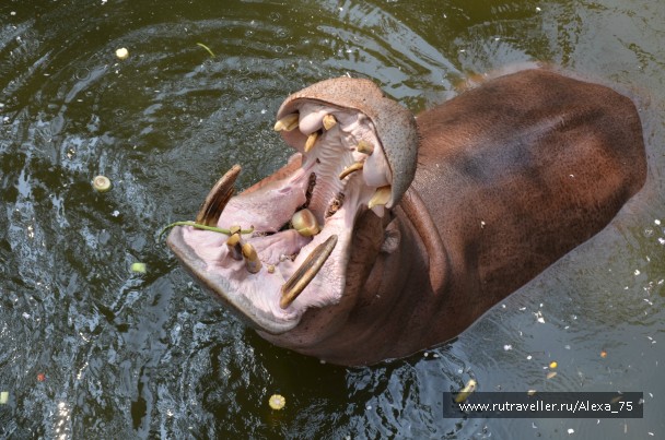 photo 933577
