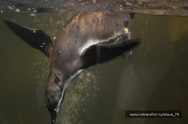 photo 933578
