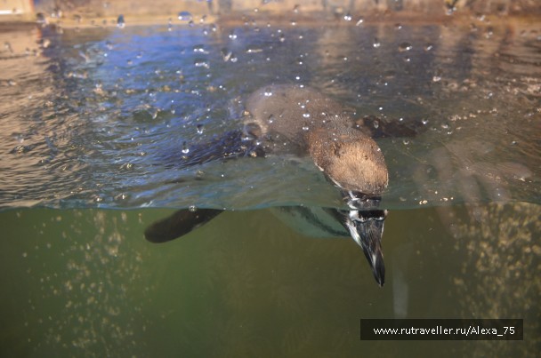 photo 933579