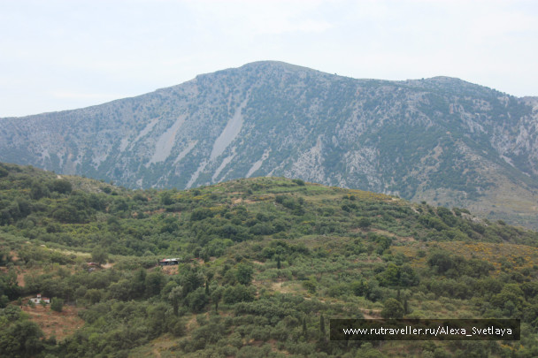 photo 173448