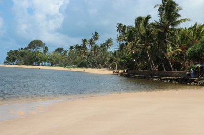 photo 173366