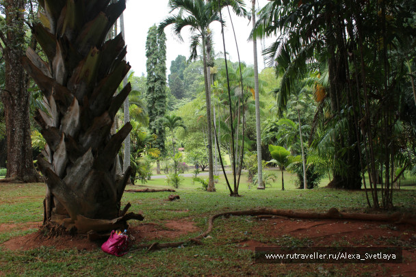 photo 173383