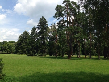 photo 784105