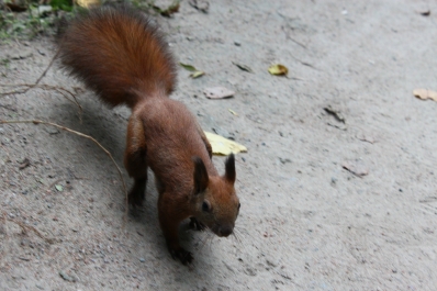 photo 877475